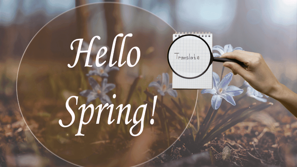 ترجمة الصور