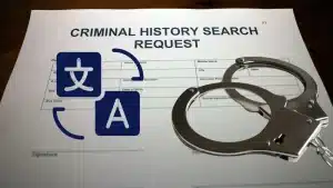 ترجمة الفيش الجنائي