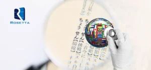 medical translation companies in egypt