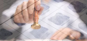 ترجمة فيش جنائي